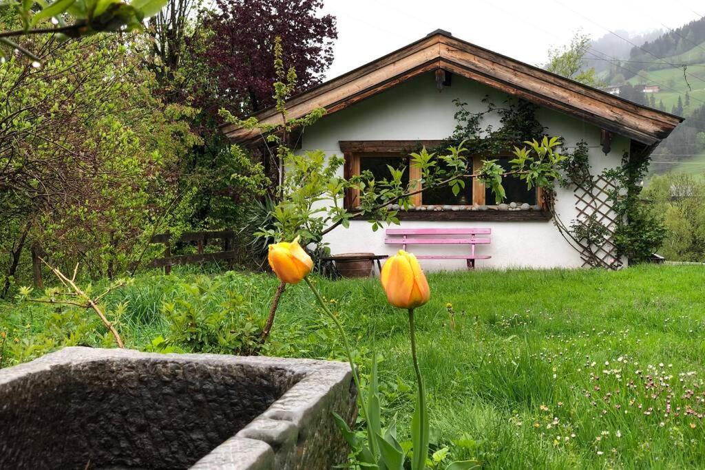 Zuhaus Schernfeichten Kitzbühel Exterior foto